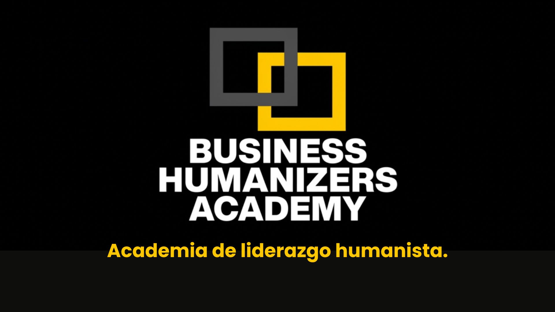 Business Humanizers Academy